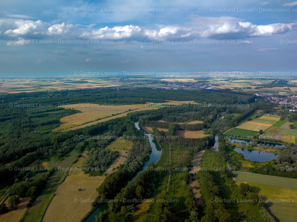 24S03215 | Naturpark Kühkopf- Knoblauchsaue