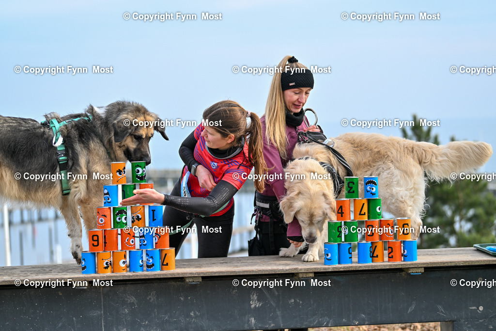 DSC_4681 | Hallo und herzlich Willkommen auf meiner Shop-Seite Fynn Most.

Ich wünsche Dir viel Spaß beim stöbern durch die Bilder, wenn Du Fragen hast oder Bilder vermisst, kannst du mir gerne eine Nachricht schreiben. - Realisiert mit Pictrs.com