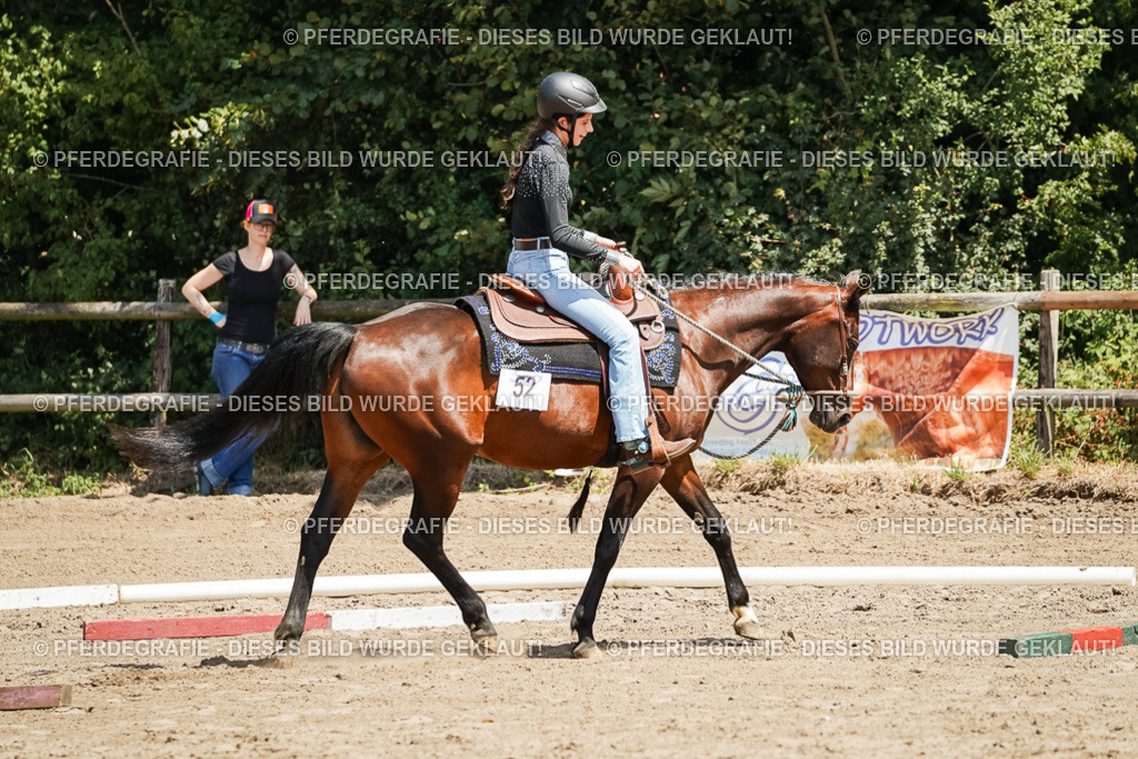 DSC07637 | Pferdegrafie