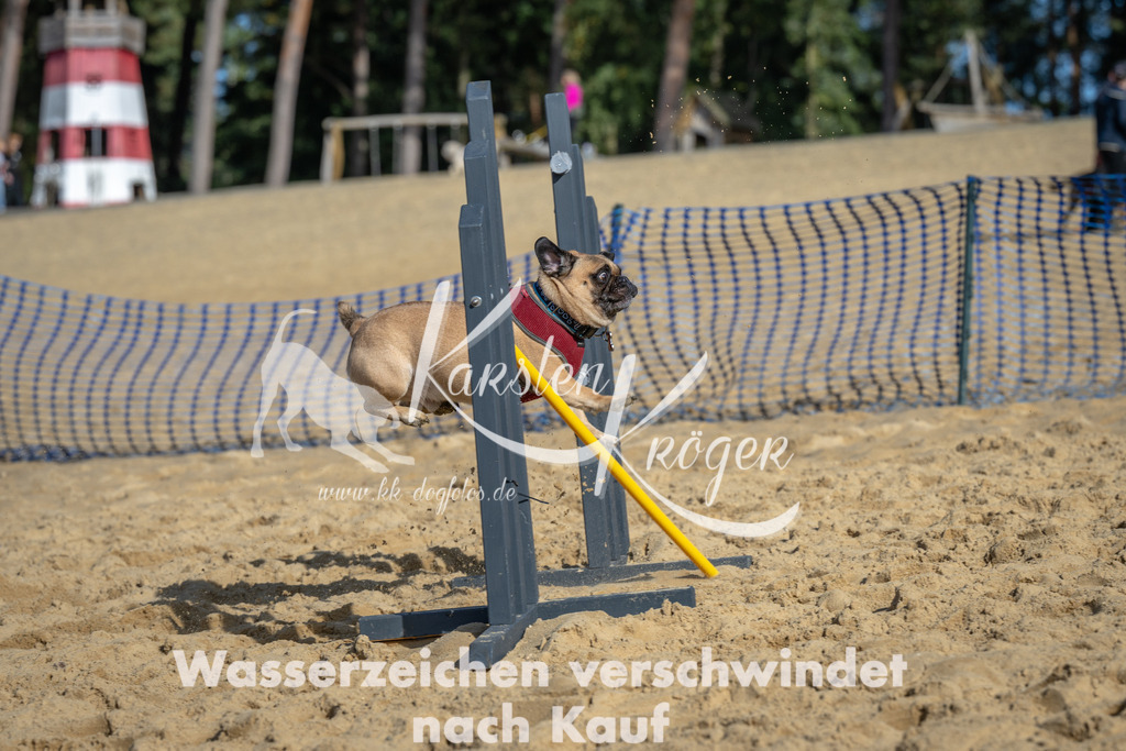 1114_ZZ90771 | kk-dogfotos