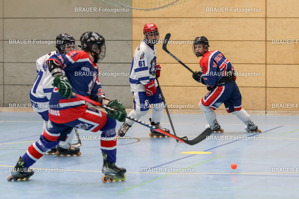 Bockumer Bulldogs Jugend - Monheim Skunks Jugend | 



05.11.1012 Bockumer Bulldogs Jugend - Monheim Skunks Jugend

(Foto von Michael Adler)

