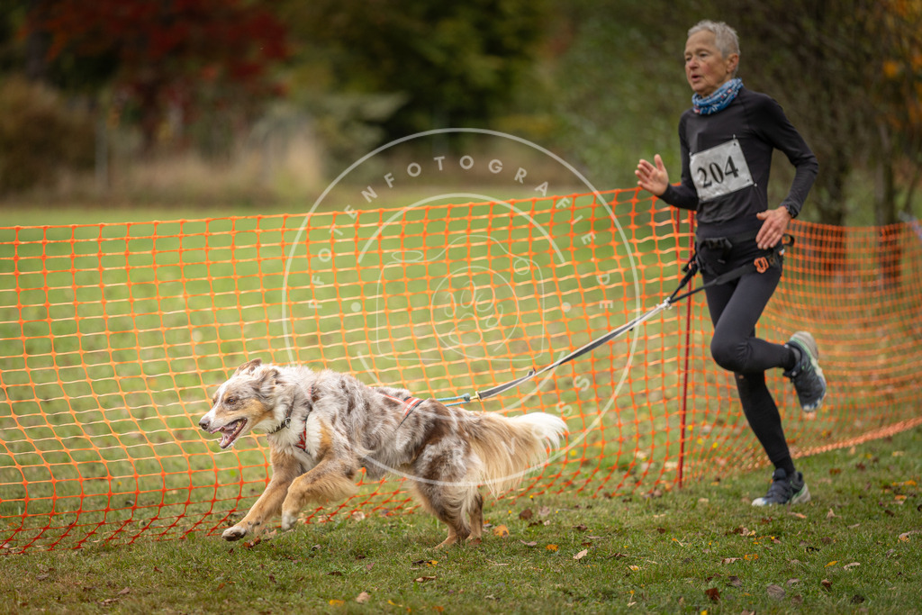 Pfotenfotografie_DV3A4177 | Hundefotografie, Tierfotograf, Pfotenfotografie, Fotoshooting Hund, Hunde Portrait, Hundesport, Hundeportraits, Heideshooting, Hunde, Sportfotograf, Hundefotograf, Turnierhundsport, THS,  - Realisiert mit Pictrs.com