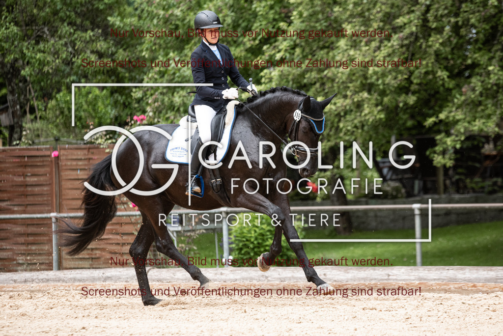 DSC_3074 | Turnierfotografin Carolin Gieschke,Reitsport Turnierfotografie Carolin G Fotografie | Turnierfotos aus Kirchheim/Teck, Esslingen, Stuttgart und dem Bodenseekreis
