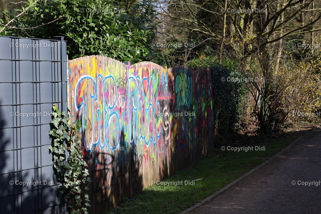 IMG_2154 | Didi - Realisiert mit Pictrs.com