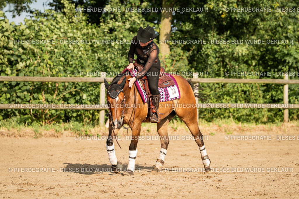 DSC05441 | Pferdegrafie