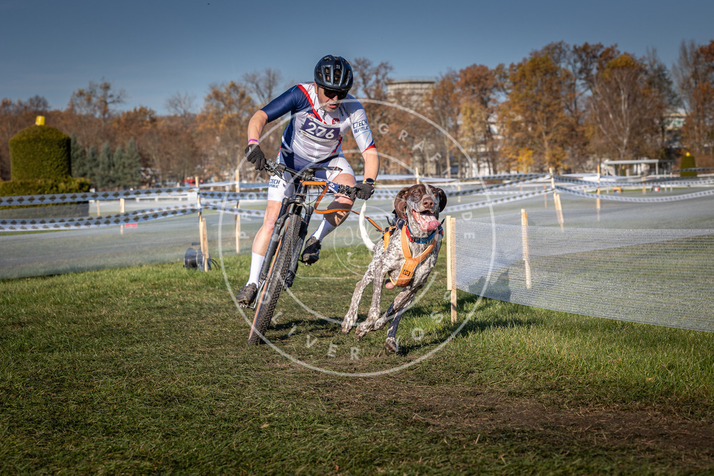 CaniXpix_0L8A5197 | Hundefotografie, Tierfotograf, Pfotenfotografie, Fotoshooting Hund, Hunde Portrait, Hundesport, Hundeportraits, Heideshooting, Hunde, Sportfotograf, Hundefotograf, Turnierhundsport, THS,  - Realisiert mit Pictrs.com