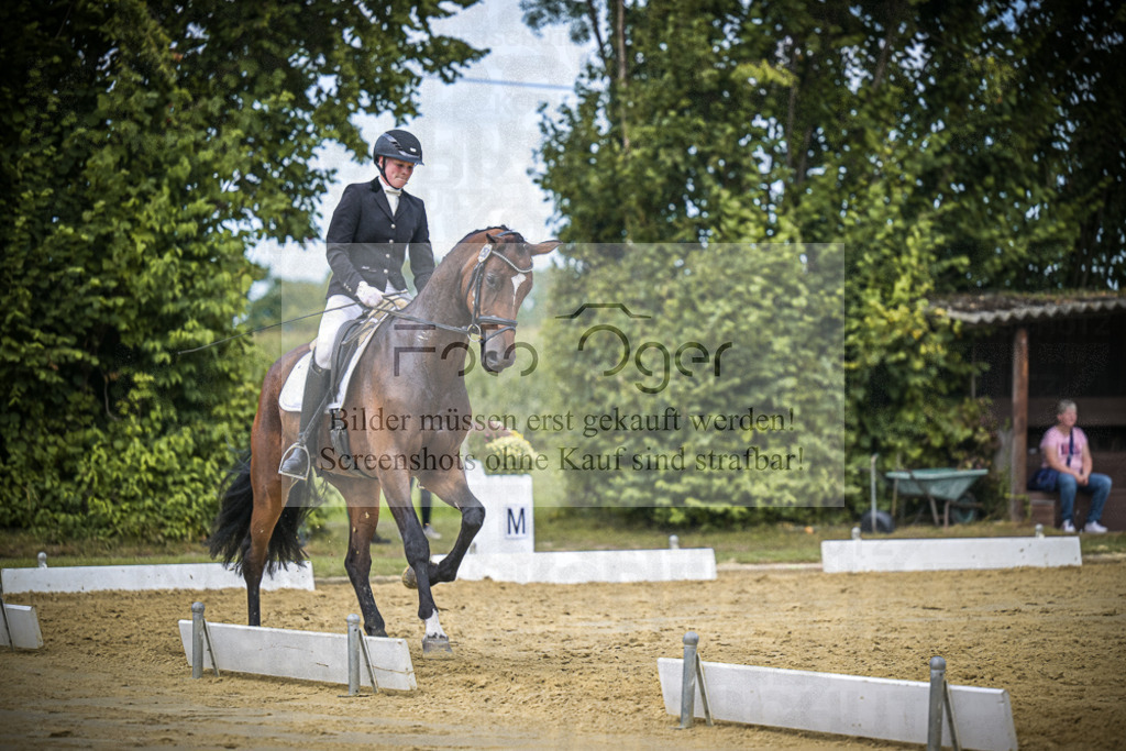 DOS_3241 | Entdecke hochwertige Reitturnierfotos von Foto Oger. Professionell, emotional und authentisch – jetzt Lieblingsmomente im Shop bestellen.Deutschlandweite Turnierfotografie. - Realisiert mit Pictrs.com