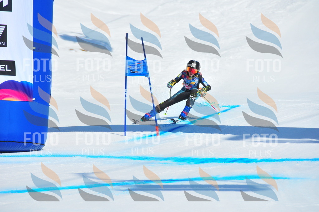 DSC_4586 | holidayphoto