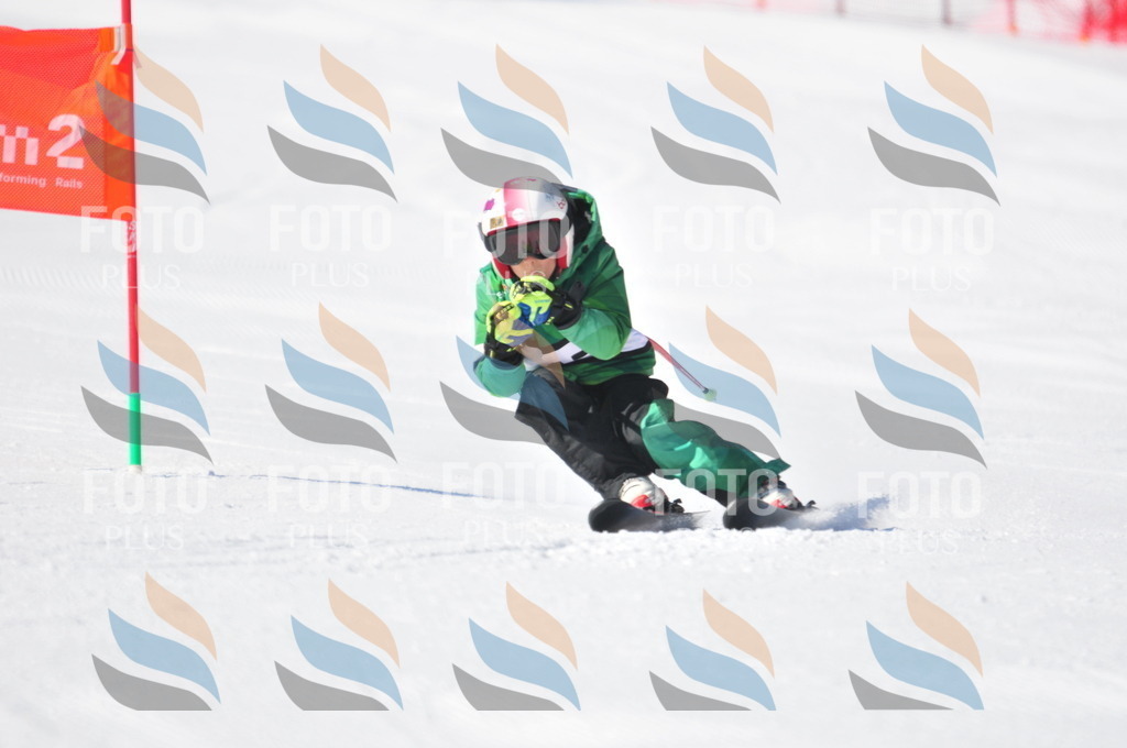 C2796 | holidayphoto