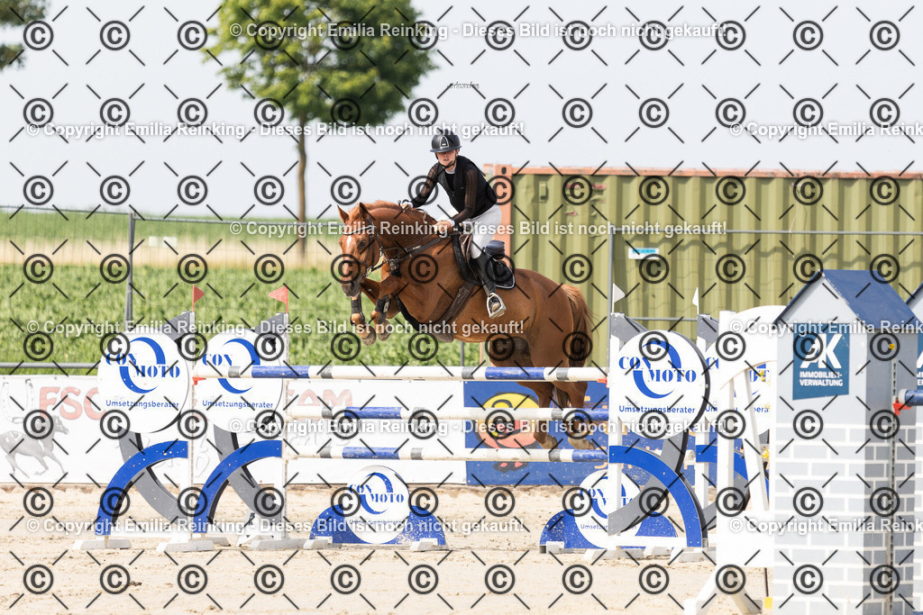 CL5A4321 | Emilia Reinking Fotografie - Realisiert mit Pictrs.com