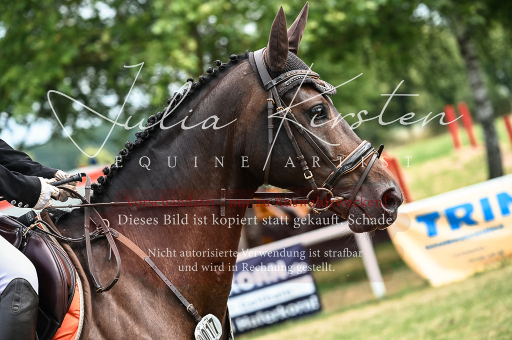 DSC_8277 | Pferde- und Turnierfotografie in Westsachsen. Pferdeportraits, Auftragszeichnungen und intuitive Kunst.