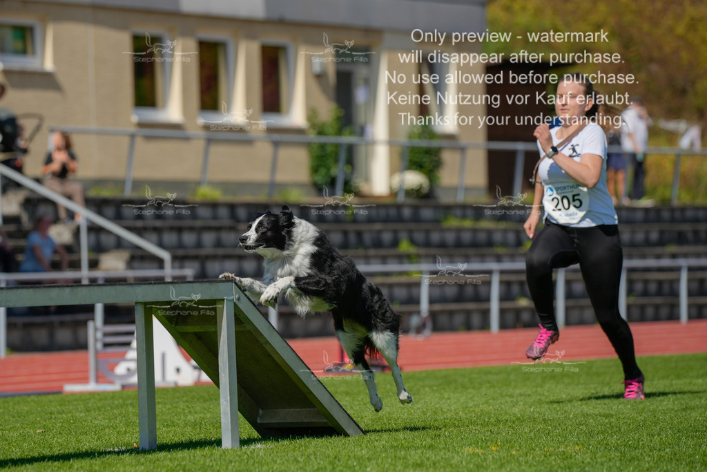 Sonntag_VK Hindernis (40 von 671) | stephaniefillaphotographie - Realisiert mit Pictrs.com