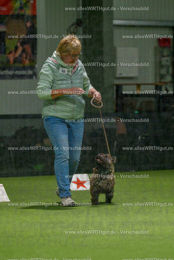 7R508554 | Professionelle Tierfotografie in Mönchengladbach von Daniel Wirth (allesWIRTHgut). Liebevolle & natürliche Bilder von Hunden & Katzen für unvergessliche Erinnerungen.