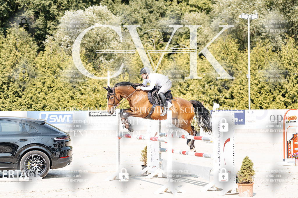 CK901691 | Turnierfotografie Pferdefotografie Trier Rheinland-Pfalz Pferdesport Reitsport Tierfotografie Sportfotografie Pferdevideo Pferdevideografie Equestrianvideography equestrianphotography  - Realisiert mit Pictrs.com