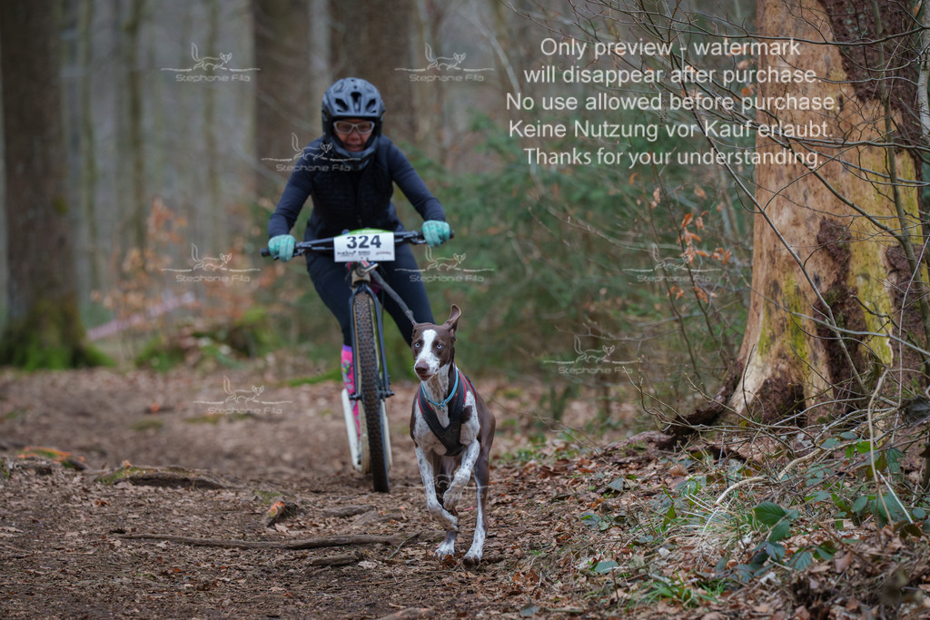 Scooter_So-96 | stephaniefillaphotographie - Realisiert mit Pictrs.com