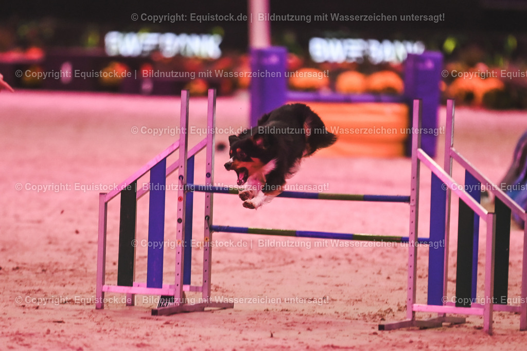20241113_Showabend_TOMsPiC_0508 | Foto: Thomas Hartig