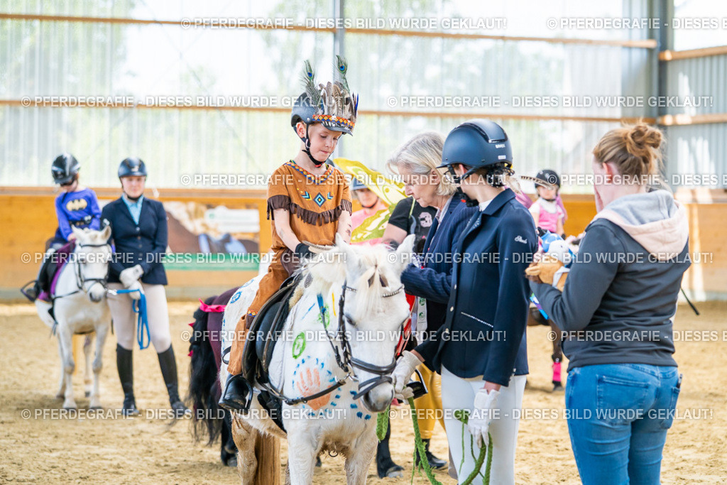 DSC00247 | Pferdegrafie