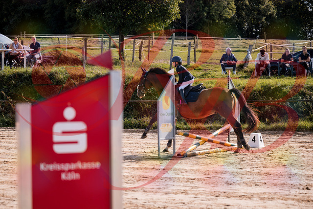 2026_10_03_Siefer-Hof_143811_Z81_08082885 | Professionelle Reitsport-, Turnier- und Eventfotografie von Robert Broda. Galerien mit ausgewählten und bearbeiteten Bildern direkt online ansehen und bestellen.