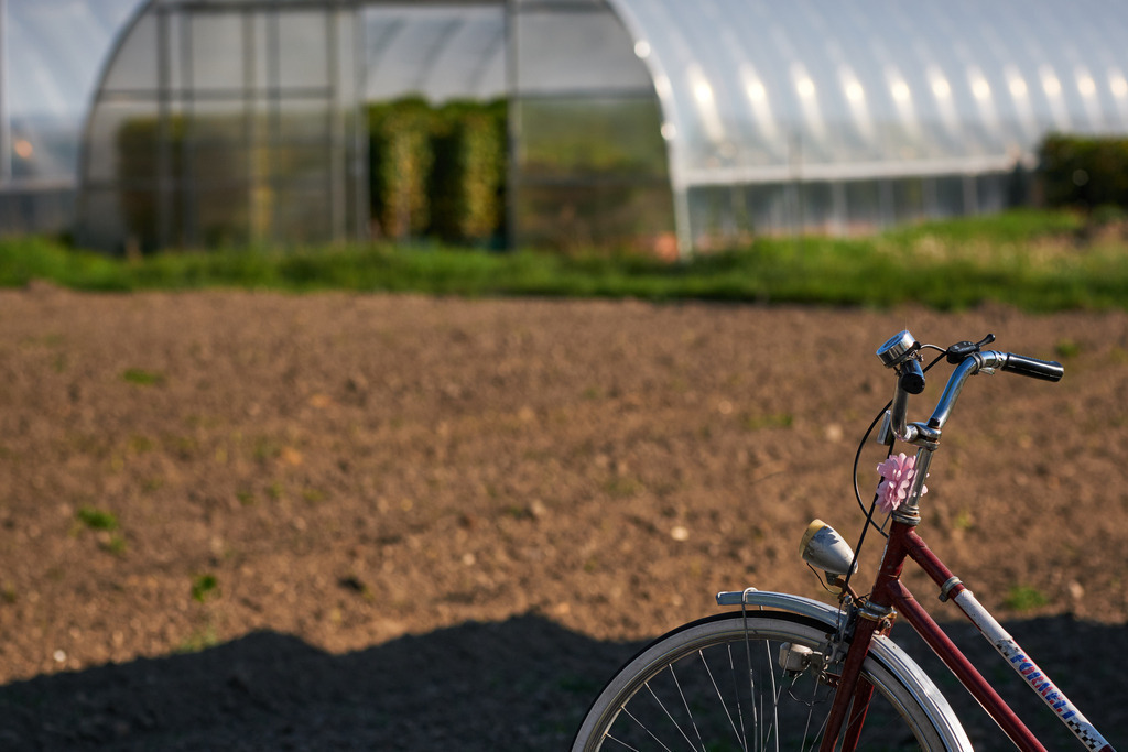 Fahrrad steht vor einem Glashaus | Wien, Austria - April 21, 2020: Fahrrad steht vor einem Glashaus mit Gemüsezucht. - Realisiert mit Pictrs.com