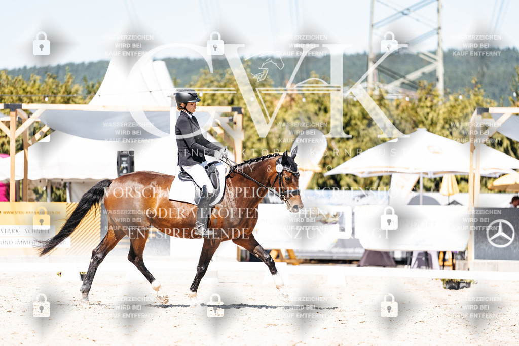 CK900439 | Turnierfotografie Pferdefotografie Trier Rheinland-Pfalz Pferdesport Reitsport Tierfotografie Sportfotografie Pferdevideo Pferdevideografie Equestrianvideography equestrianphotography  - Realisiert mit Pictrs.com