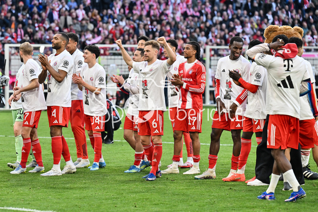 FC Bayern München - VfB Stuttgart | MUNICH, GERMANY - 19. APRIL: Bayern celebrating the Deutsche Meisterschaft after the Bundesliga Match between FC Bayern Munich vs. VfB Stuttgart at Matchday 30 at Allianz Arena / DFL REGULATIONS PROHIBIT ANY USE OF PHOTOGRAPHS AS IMAGE SEQUENCES AND/OR QUASI-VIDEO / Joshua KIMMICH (FC Bayern Munich 6), Michael OLISE (FC Bayern Munich 17)