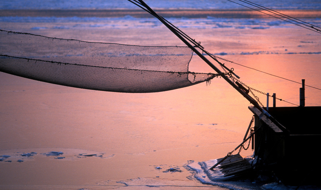 Fischernetz an der Alten Donau | Wien, Austria: Fischernetz an der gefrorenen Alten Donau. - Realisiert mit Pictrs.com