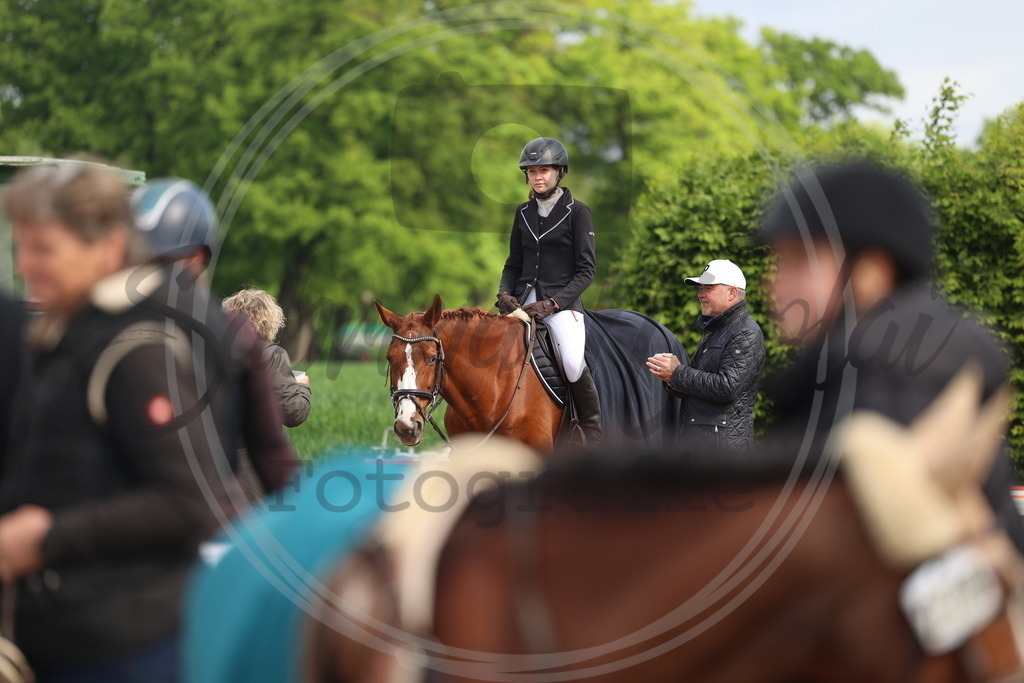 994A8721 | sabrinanicolaifotografie - Realisiert mit Pictrs.com