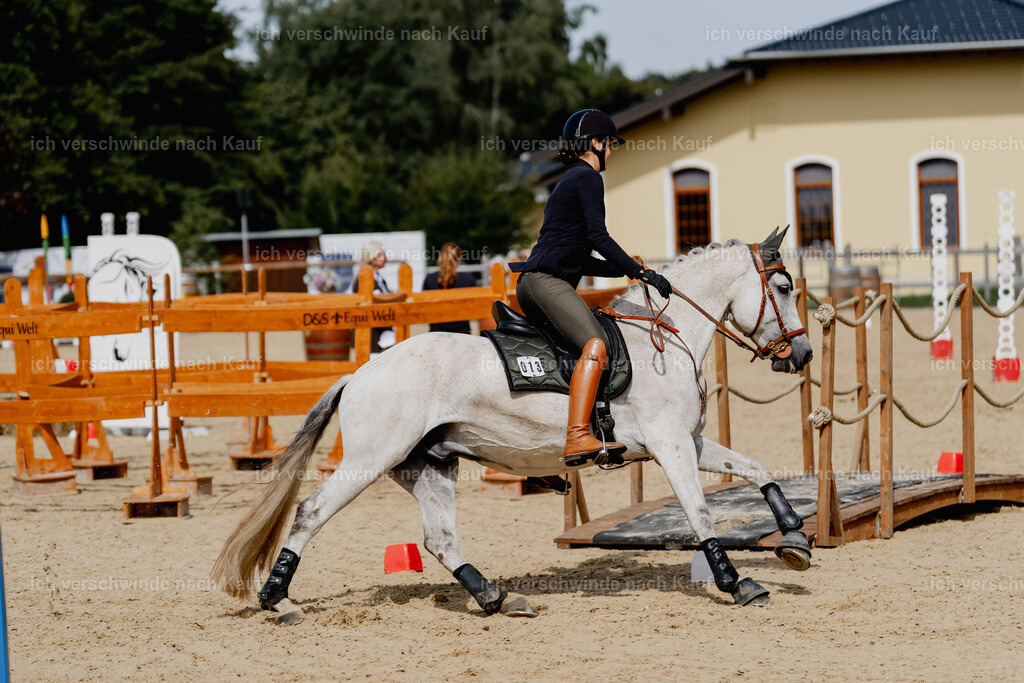 Svea13FHC2025-2898 | working equitationturnier fotograf videograf stoibphotography marixx film working equitation deutschland reitsport turnierfotografie eventfotografie equestrian events