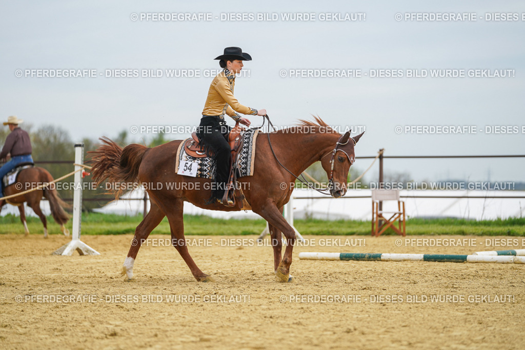 DSC03259 | Pferdegrafie