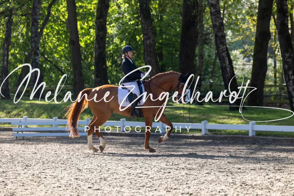 7I8A7209 | melanie-engelhardt-photography - Realisiert mit Pictrs.com