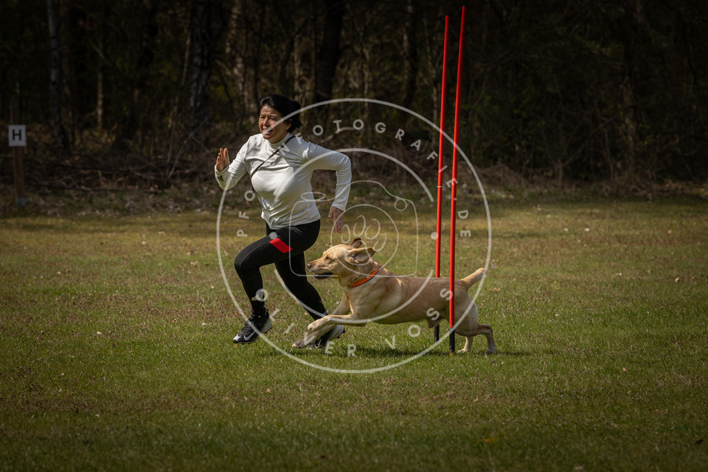 Pfotenfotografie_DV3A4428 | Hundefotografie, Tierfotograf, Pfotenfotografie, Fotoshooting Hund, Hunde Portrait, Hundesport, Hundeportraits, Heideshooting, Hunde, Sportfotograf, Hundefotograf, Turnierhundsport, THS,  - Realisiert mit Pictrs.com