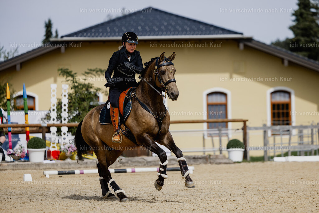 Katja7_FHC2025-20247 | working equitationturnier fotograf videograf stoibphotography marixx film working equitation deutschland reitsport turnierfotografie eventfotografie equestrian events