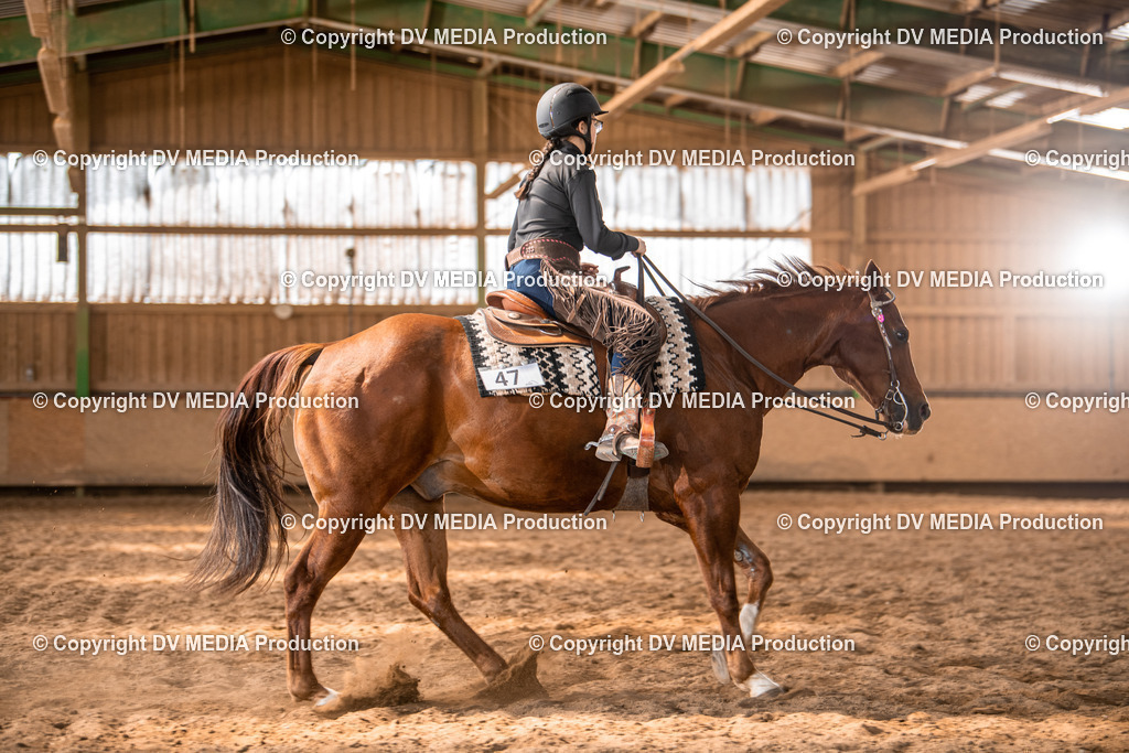 Balingen Tag 4-682 | dv-media-shop - Realisiert mit Pictrs.com