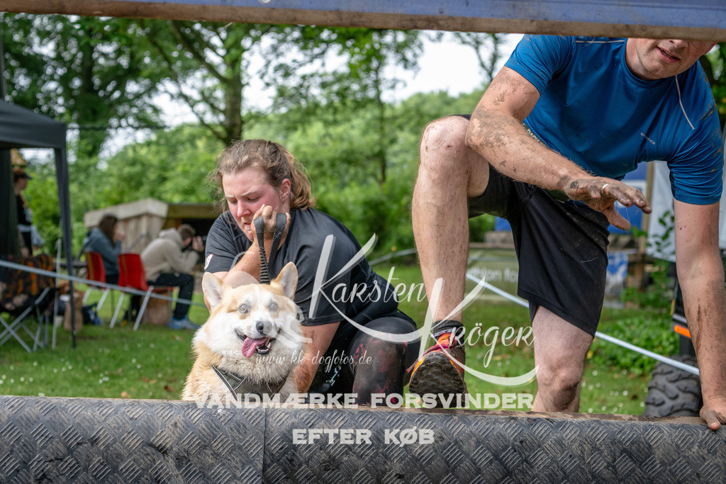 1054_ZZ91884 | kk-dogfotos