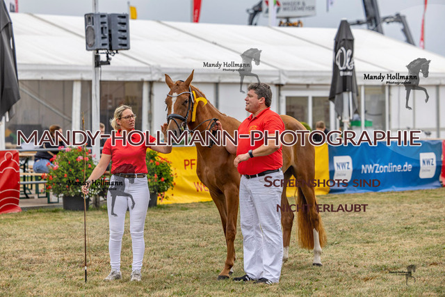 DR (1240 von 2698) | mandyhollmannphotographie