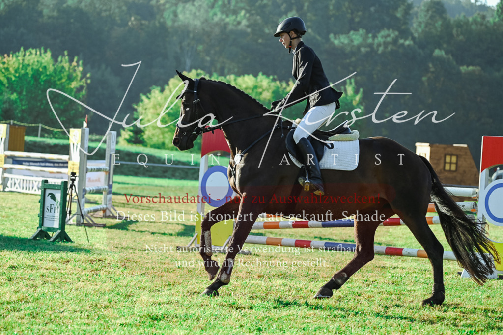DSC_4188 | Pferde- und Turnierfotografie in Westsachsen. Pferdeportraits, Auftragszeichnungen und intuitive Kunst.