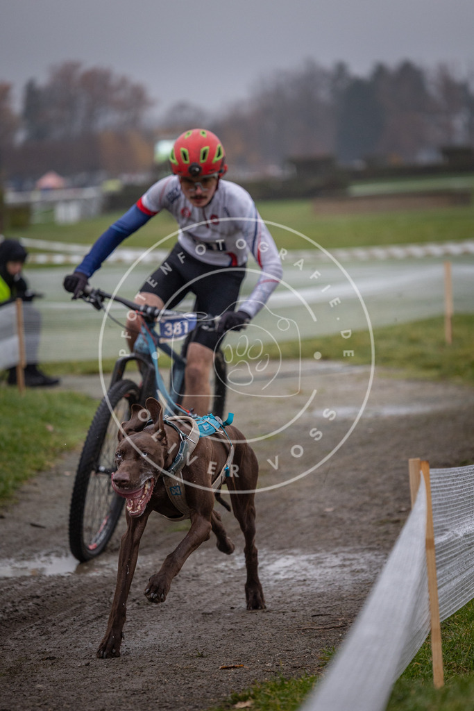 CaniXpix_0L8A1062 | Hundefotografie, Tierfotograf, Pfotenfotografie, Fotoshooting Hund, Hunde Portrait, Hundesport, Hundeportraits, Heideshooting, Hunde, Sportfotograf, Hundefotograf, Turnierhundsport, THS,  - Realisiert mit Pictrs.com