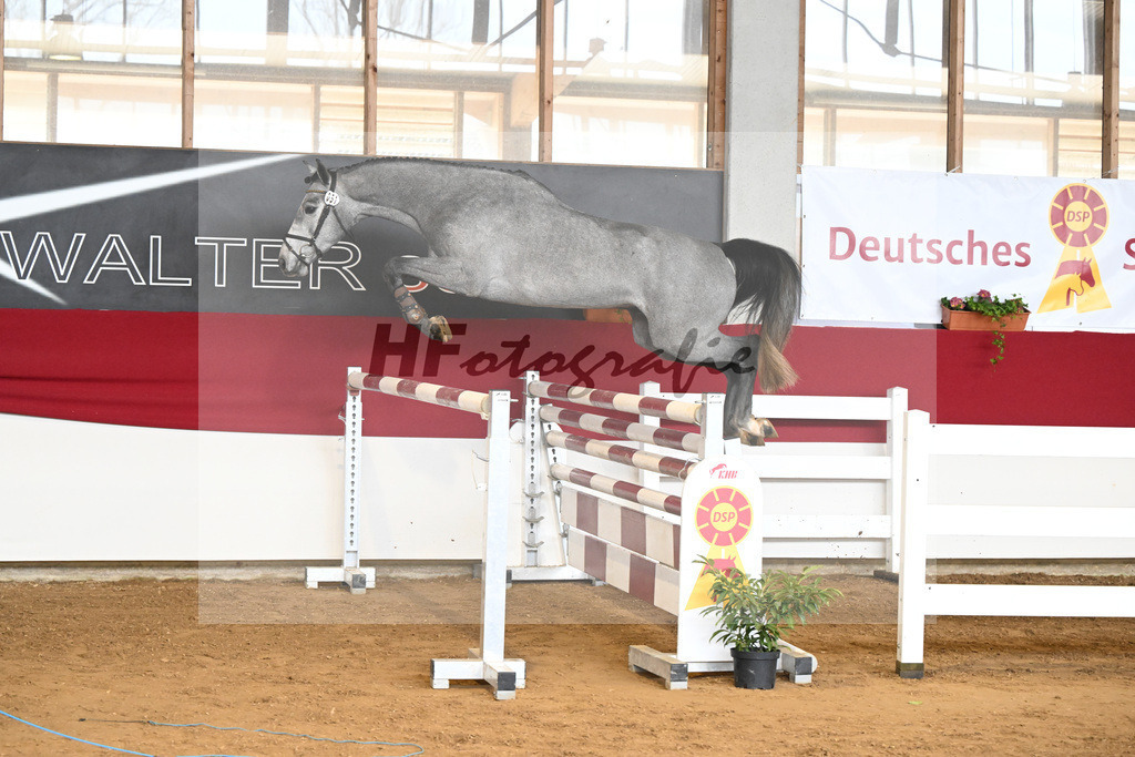 Kat-Nr. 51 Vatino W v. Vingino_Walter_7251032 | hf-fotografie - Realizzato con Pictrs.com