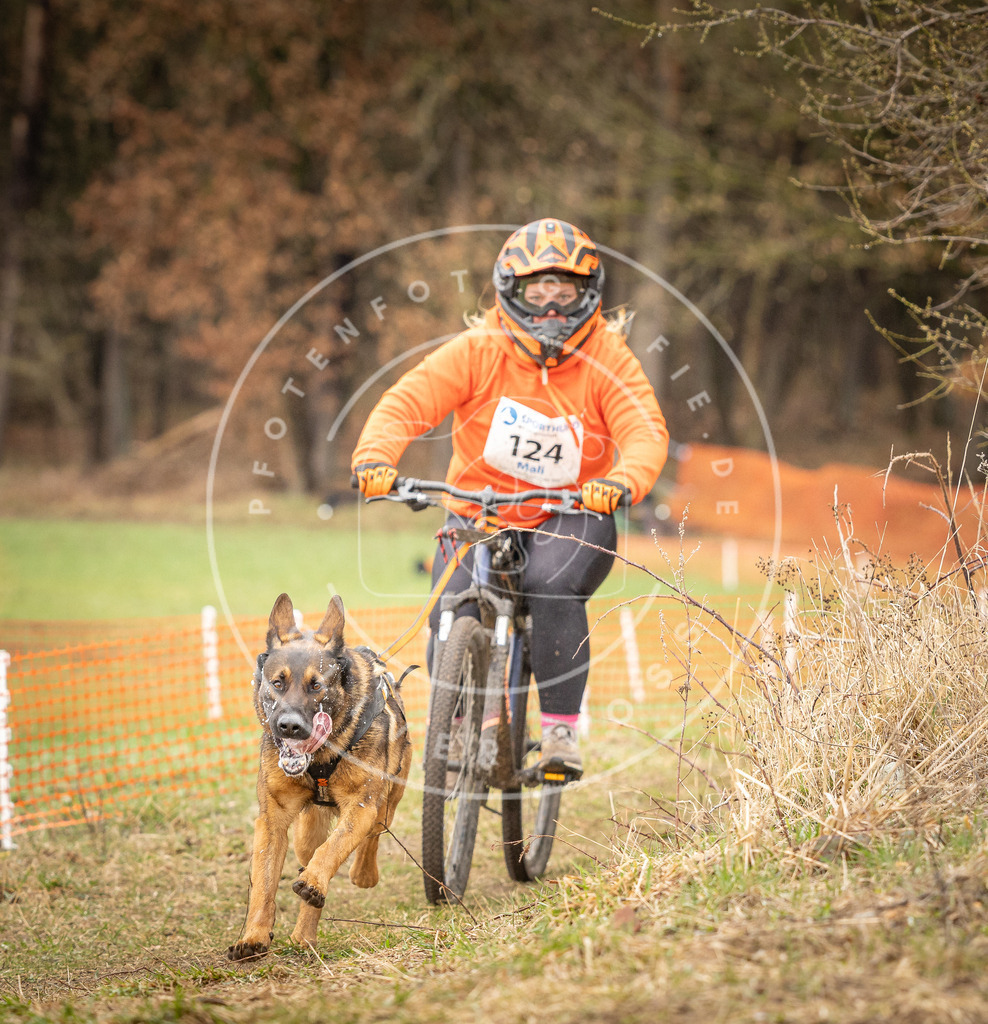 DV3A1146 | Hundefotografie, Tierfotograf, Pfotenfotografie, Fotoshooting Hund, Hunde Portrait, Hundesport, Hundeportraits, Heideshooting, Hunde, Sportfotograf, Hundefotograf, Turnierhundsport, THS,  - Realisiert mit Pictrs.com