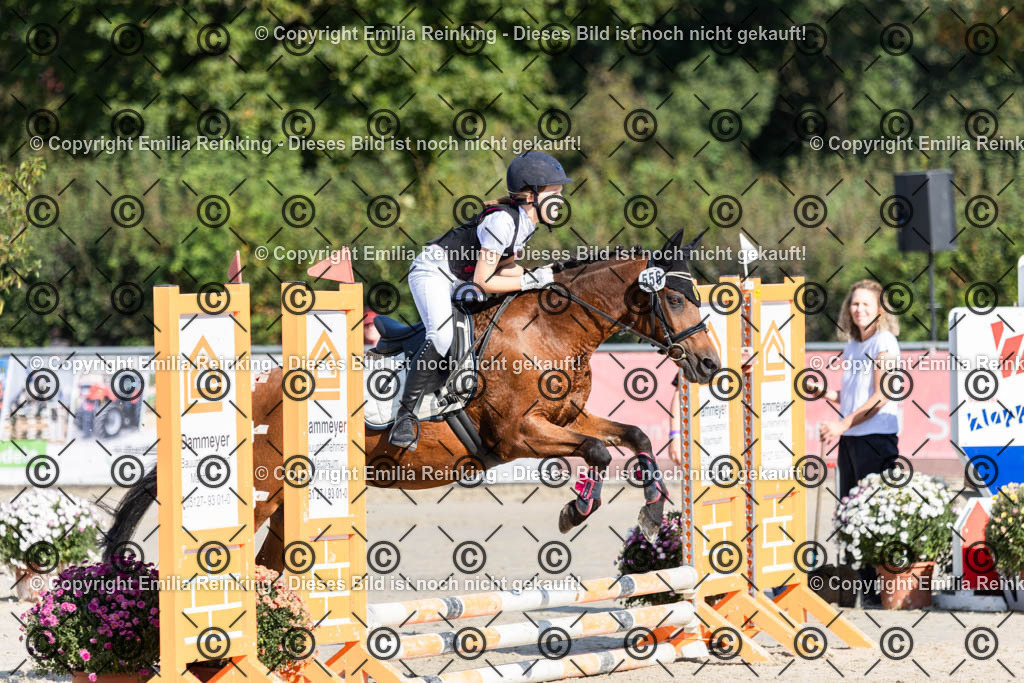 CL5A0100 | Emilia Reinking Fotografie - Realisiert mit Pictrs.com