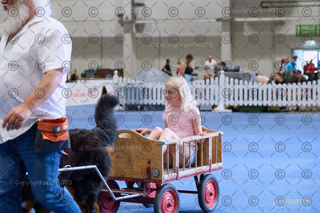 202406_ÖKV-IHA-Tulln24_DSC_4671 | proPHOTO - Realisiert mit Pictrs.com