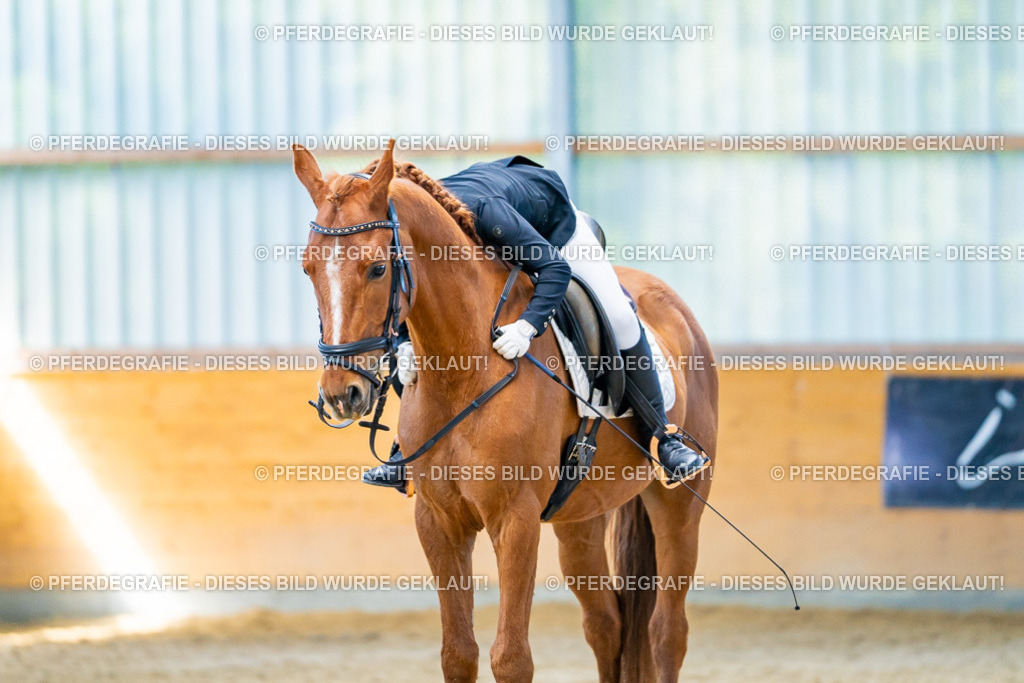 DSC08409 | Pferdegrafie