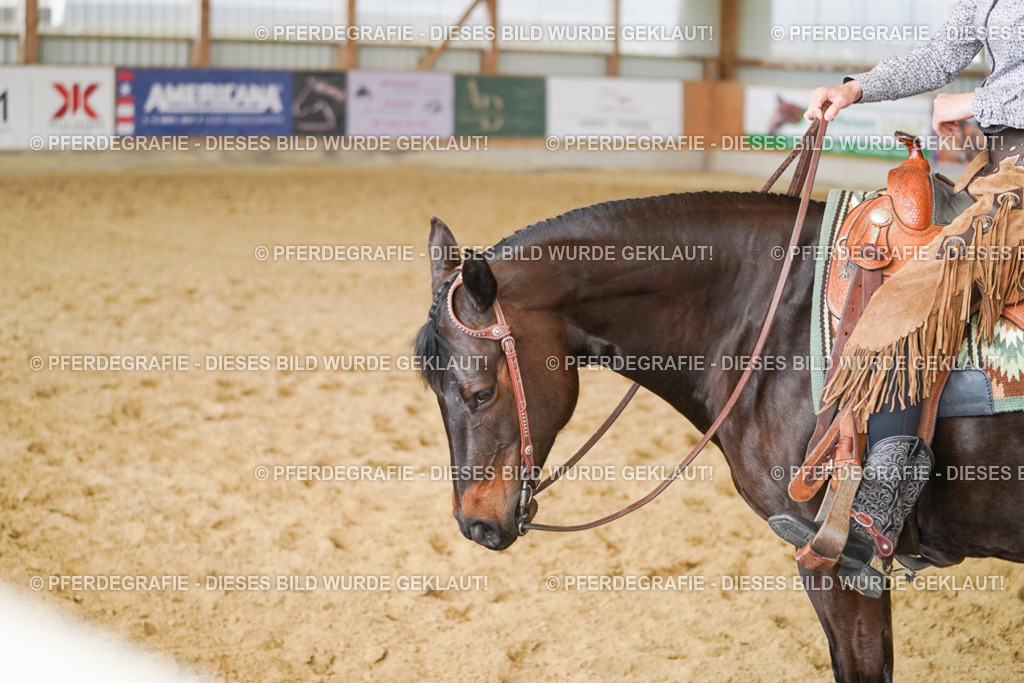 DSC02215 | Pferdegrafie