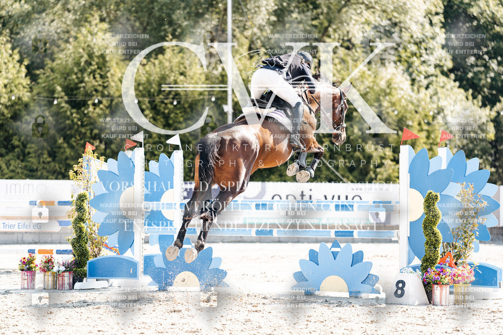 CK902673 | Turnierfotografie Pferdefotografie Trier Rheinland-Pfalz Pferdesport Reitsport Tierfotografie Sportfotografie Pferdevideo Pferdevideografie Equestrianvideography equestrianphotography  - Realisiert mit Pictrs.com
