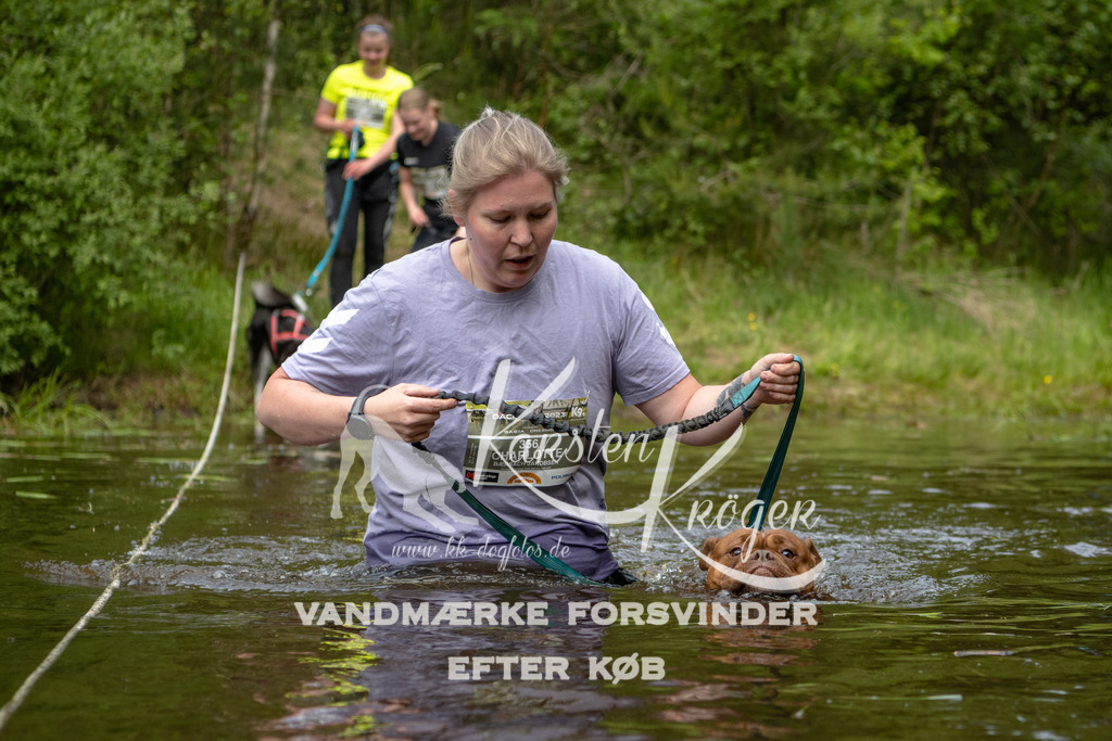 1114DKK994472 | kk-dogfotos