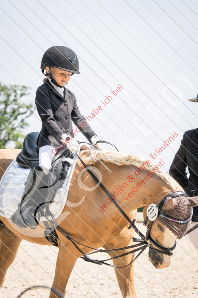 PIR00010 | Sport-, Event- und Tierfotos in Profiqualität. Einfach auswählen, bestellen und herunterladen. Dein Moment – perfekt festgehalten.
