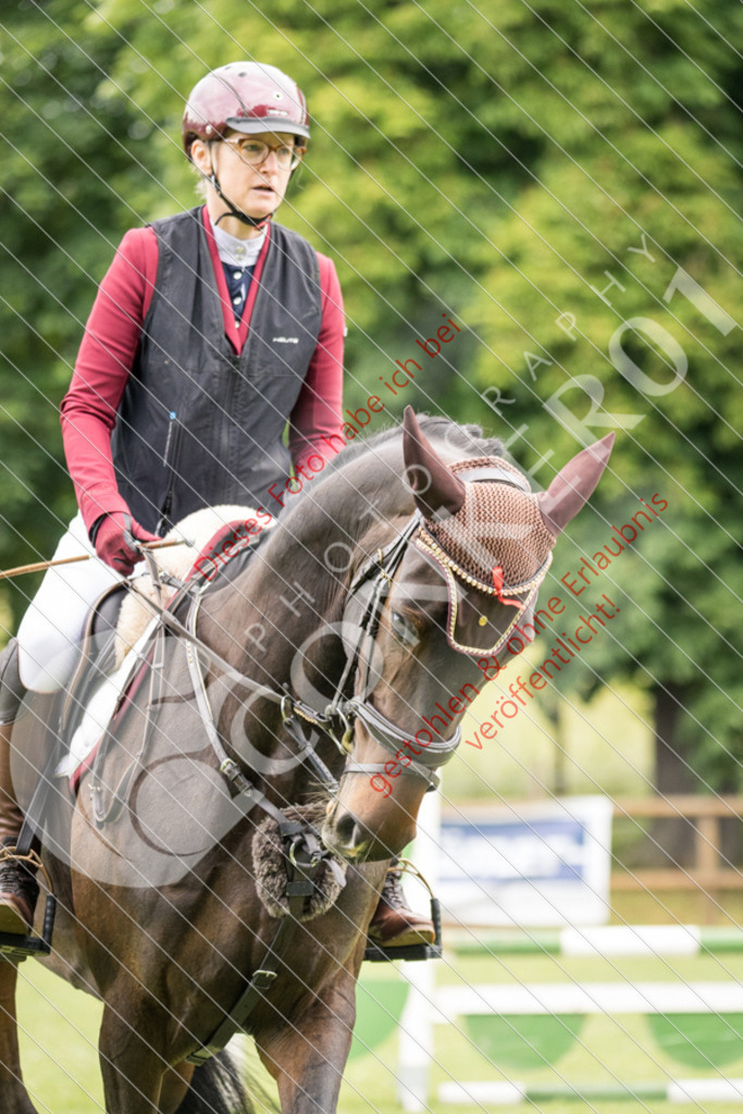 IMG_2250 | Sport-, Event- und Tierfotos in Profiqualität. Einfach auswählen, bestellen und herunterladen. Dein Moment – perfekt festgehalten.