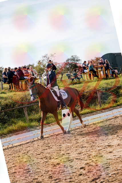 2026_10_03_Siefer-Hof_132823_Z63_89021338 | Professionelle Reitsport-, Turnier- und Eventfotografie von Robert Broda. Galerien mit ausgewählten und bearbeiteten Bildern direkt online ansehen und bestellen.