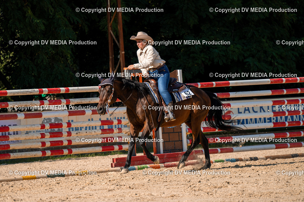 ZH100778 | dv-media-shop - Realisiert mit Pictrs.com