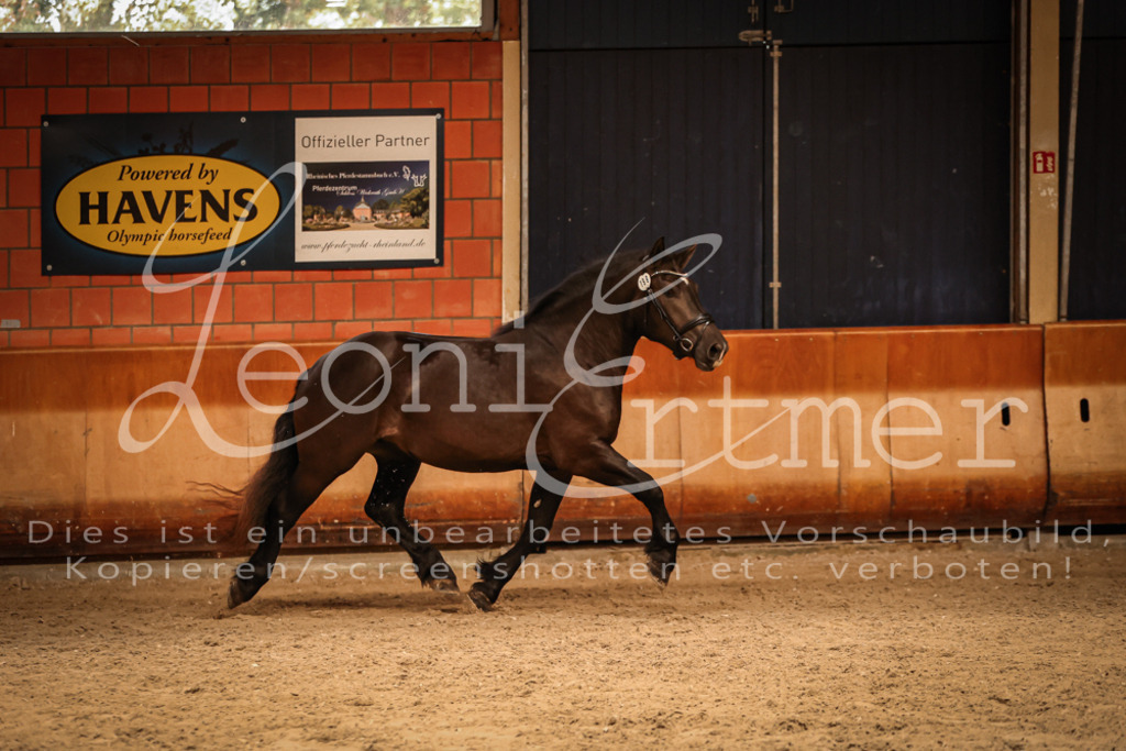 SaFL00404 | Leoni Ertmer Photography - Realisiert mit Pictrs.com